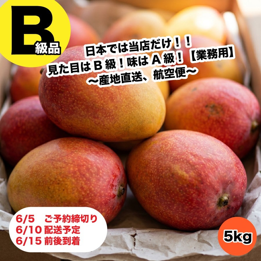 台湾マンゴー通販【2026年「愛文マンゴー」予約受付中】 | 台湾愛文